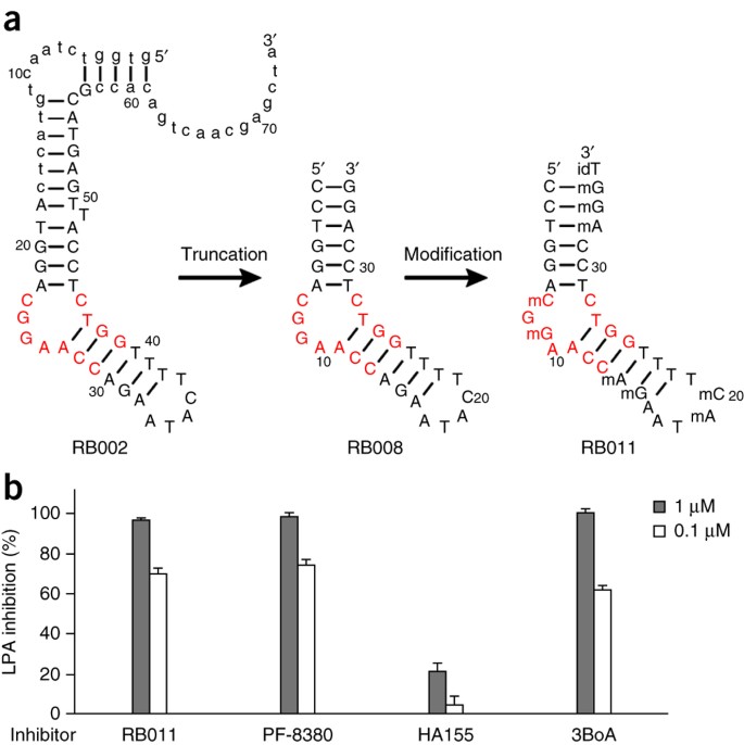 Structural Basis For Specific Inhibition Of Autotaxin By A Dna Aptamer Nature Structural Molecular Biology Structural Basis For Specific Inhibition Of Autotaxin By A Dna Aptamer Nature Structural Molecular Biology
