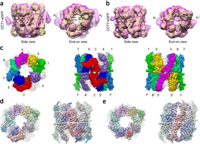【klmm虹様専用】パネル 5/24、6/3 DIY Flow Series Airlift LED Kit