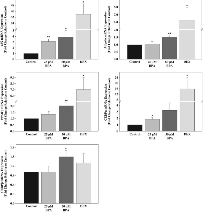 Bisphenol A induces differentiation of human preadipocytes in the absence  of glucocorticoid and is inhibited by an estrogen-receptor antagonist |  Nutrition & Diabetes