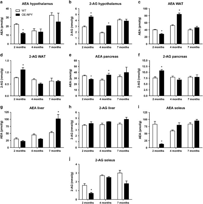Role Of The Endocannabinoid System In Obesity Induced By Neuropeptide Y Overexpression In Noradrenergic Neurons Nutrition Diabetes