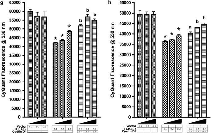 Epigenetic silencing of TCEAL7 (Bex4) in ovarian cancer