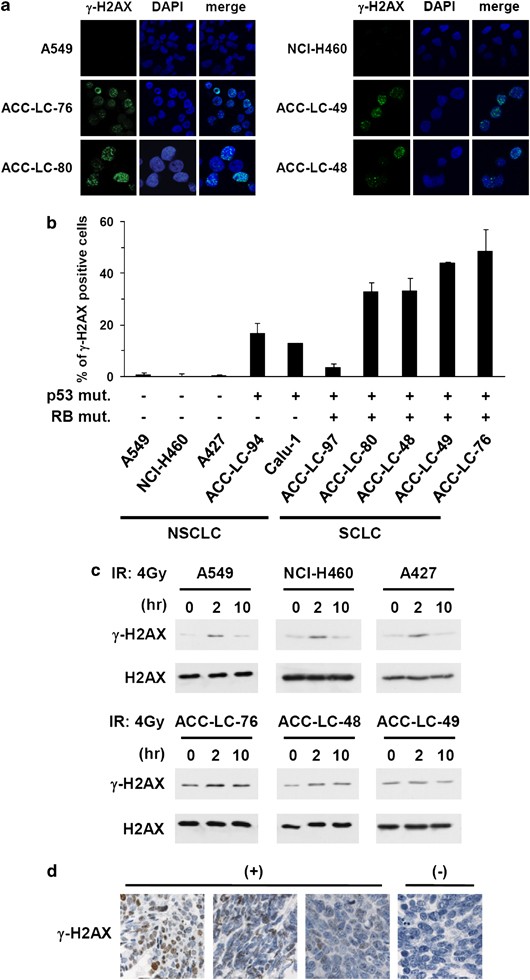 Counterbalance between