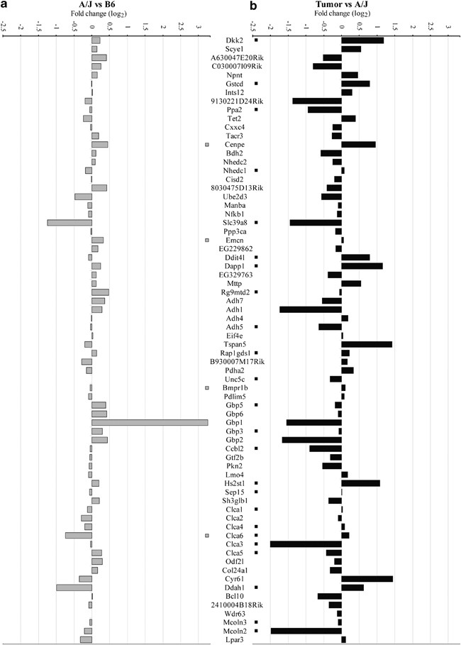 Characterization Of A Major Colon Cancer Susceptibility Locus Ccs3 On Mouse Chromosome 3 Oncogene