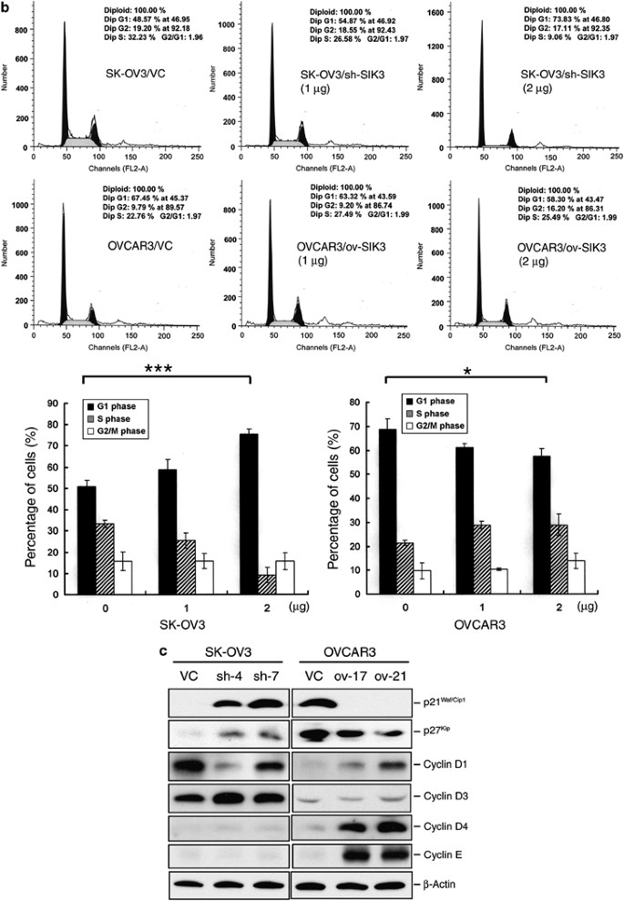 Identification Of Salt Inducible Kinase 3 As A Novel Tumor Antigen Associated With Tumorigenesis Of Ovarian Cancer Oncogene