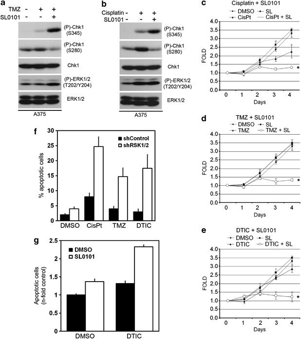 Rsk Promotes G2 Dna Damage Checkpoint Silencing And Participates In Melanoma Chemoresistance Oncogene