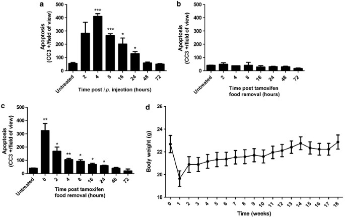 The Kinetics Of Er Fusion Protein Activation In Vivo Oncogene