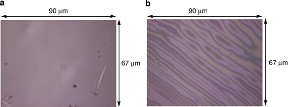 figure 29