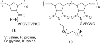 scheme 13