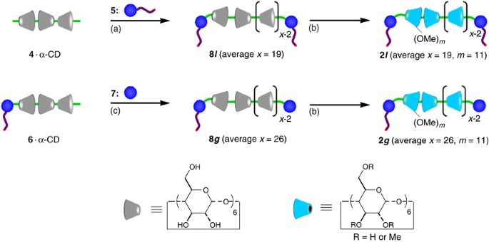 scheme 2