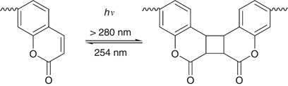 scheme 23