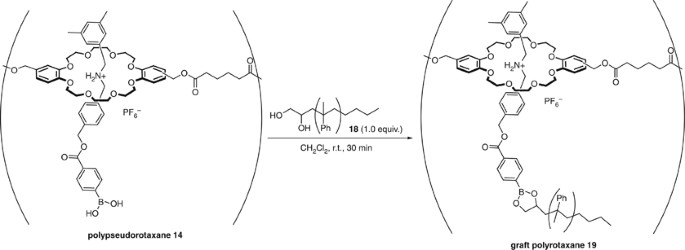 scheme 7