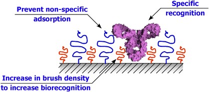 scheme 3