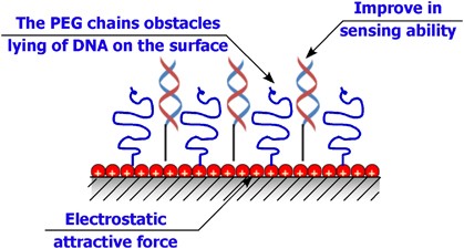 scheme 5