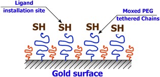 scheme 6