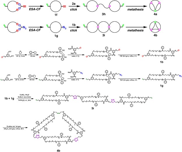 scheme 5