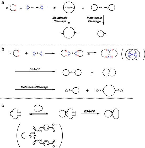 scheme 3