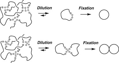 scheme 5