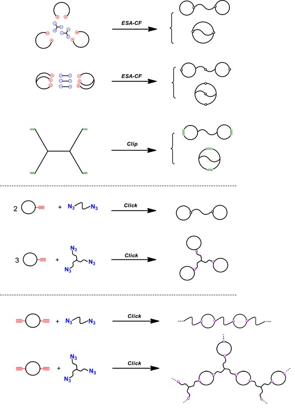 scheme 10