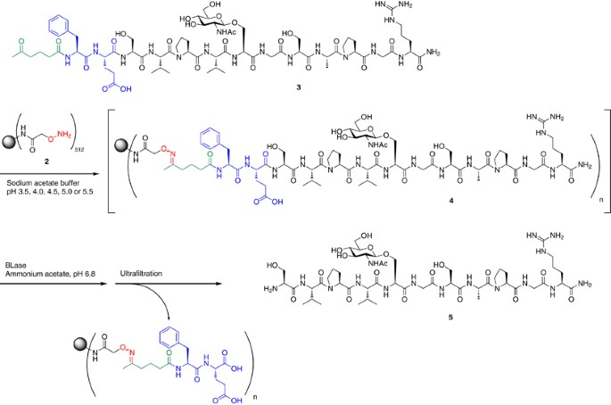 scheme 3