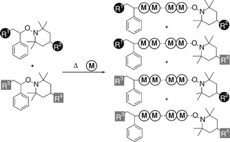 scheme 3