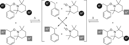 scheme 5