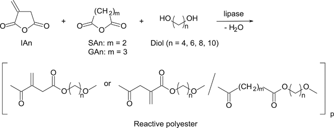 scheme 2