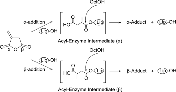 scheme 4