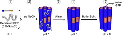 figure 22