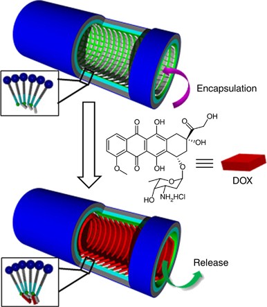 figure 26