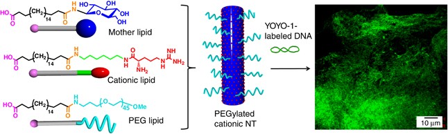 figure 28