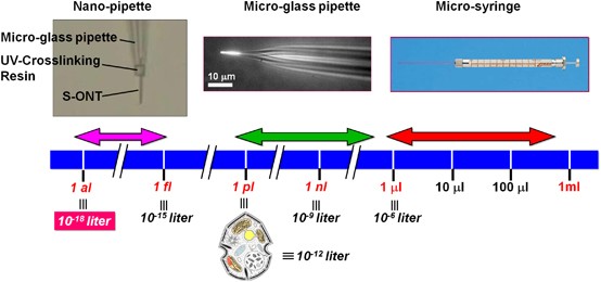 figure 29