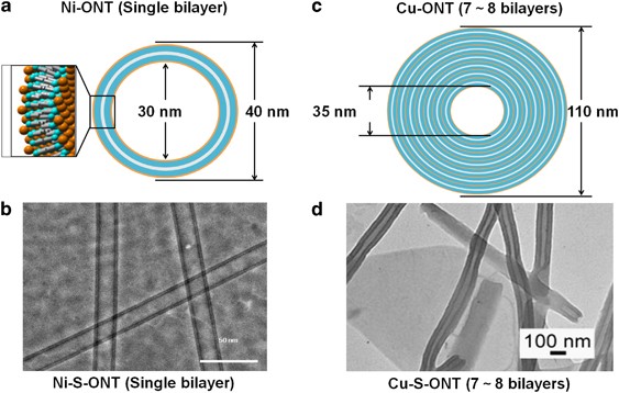 figure 31