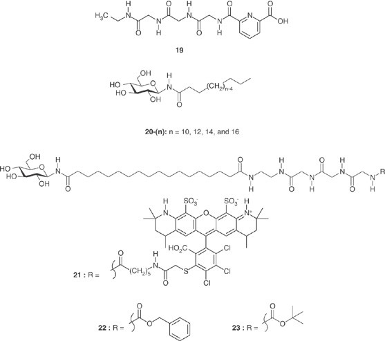 scheme 6