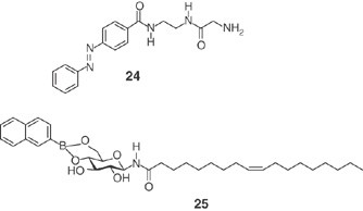 scheme 7