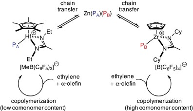 scheme 6