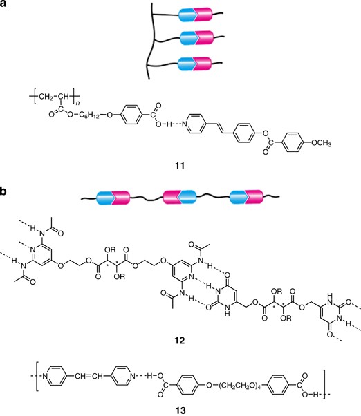 Functional Liquid Crystalline Polymers And Supramolecular Liquid Crystals Polymer Journal