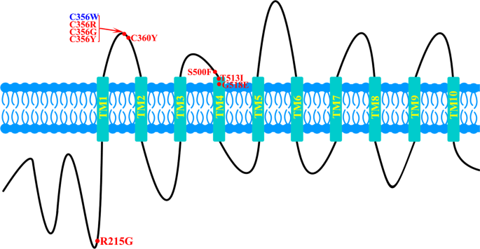 figure 9