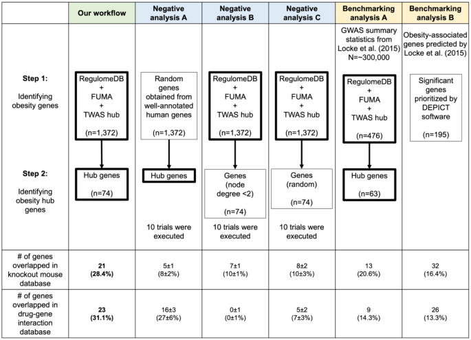 research on obesity gene figure 5