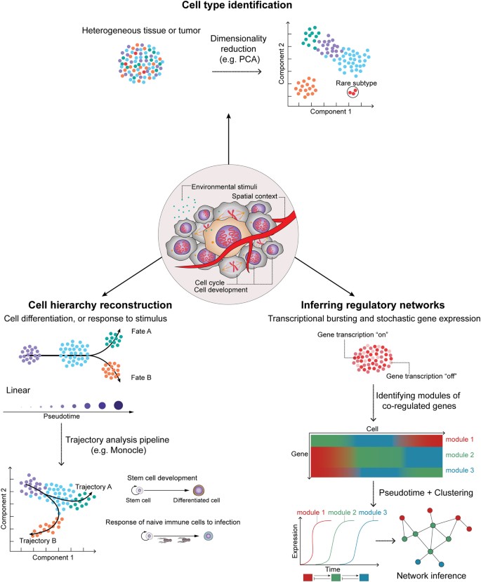 Single-cell RNA sequencing technologies and bioinformatics pipelines |  Experimental & Molecular Medicine