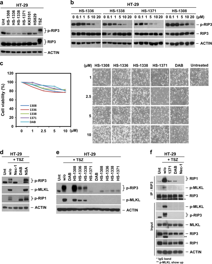 Hs 1371 A Novel Kinase Inhibitor Of Rip3 Mediated Necroptosis Experimental Molecular Medicine Hs 1371 A Novel Kinase Inhibitor Of Rip3 Mediated Necroptosis Experimental Molecular Medicine