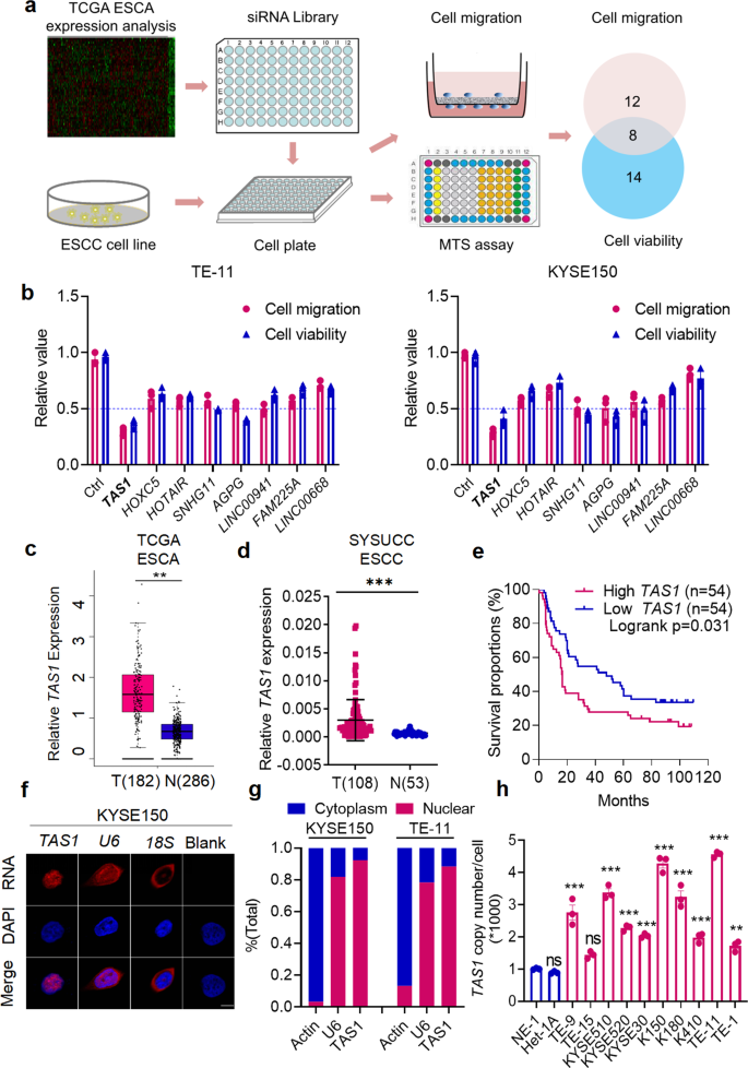 Long intergenic non‑coding RNA LINC01232 contributes to esophageal squamous  cell carcinoma progression by sequestering microRNA‑654‑3p and consequently  promoting hepatoma‑derived growth factor expression