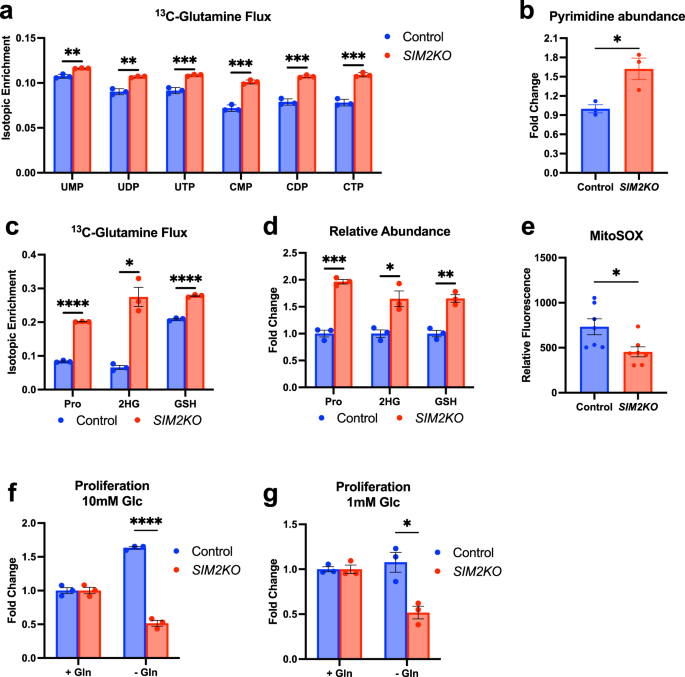 Noncanonical role of singleminded-2s in mitochondrial respiratory chain  formation in breast cancer | Experimental & Molecular Medicine