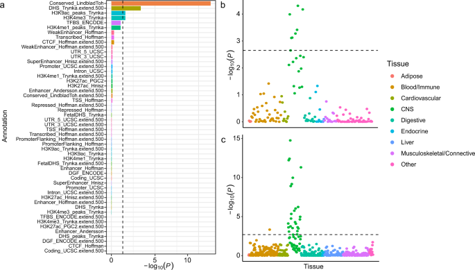 Fig. 2: Partitioned heritability analyses using linkage disequilibrium score regression.