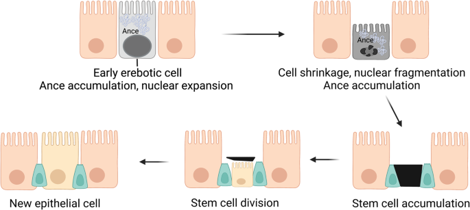 figure 15