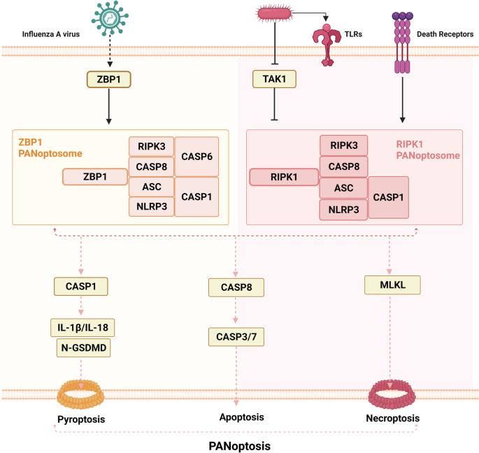 figure 18