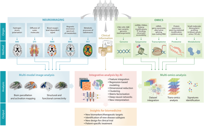 features of qualitative research paradigm figure 1
