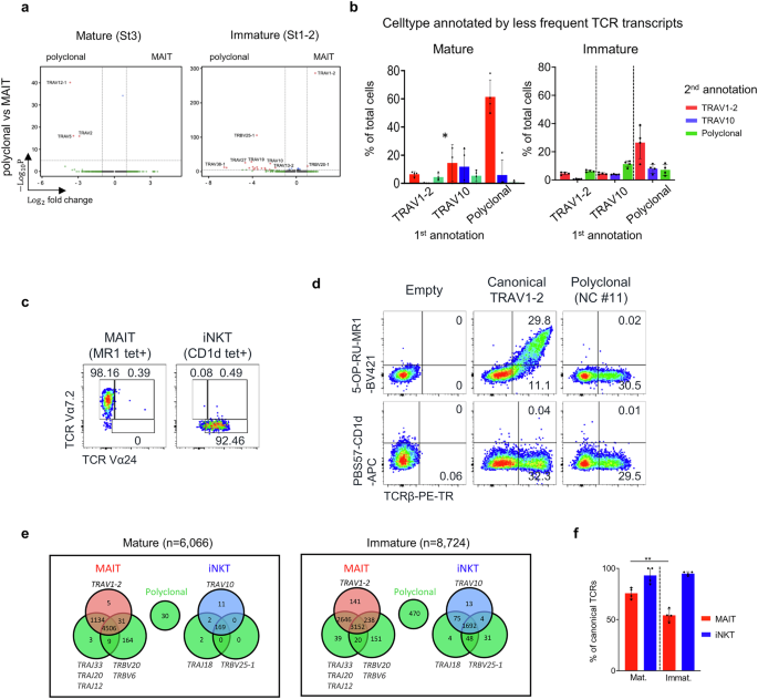Fig. 4: MAIT cells with canonical TCRs are selected upon maturation.