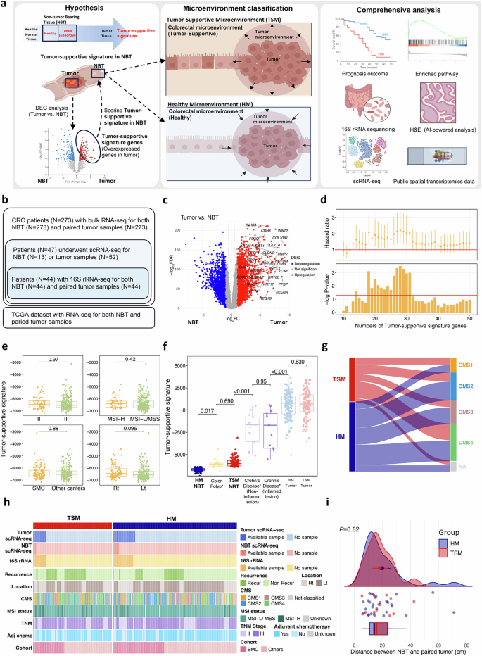 Fig. 1: Study outline and selection process of tumor-supportive signature genes.