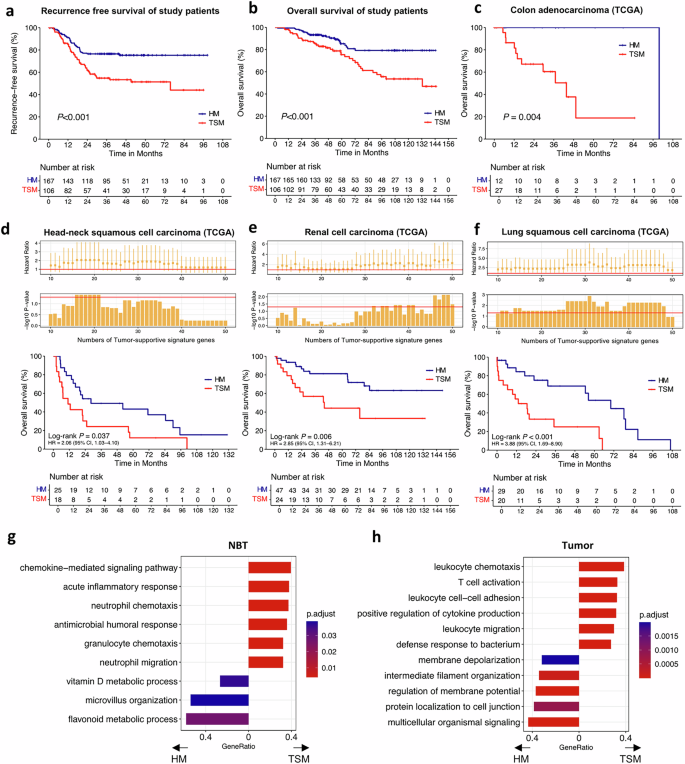 Fig. 2: Survival outcomes according to the microenvironment-based classification (TSM versus HM).