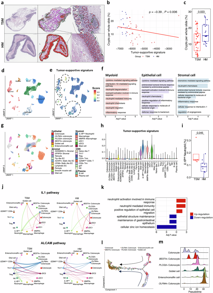 Fig. 3: Comprehensive analysis of NBT.